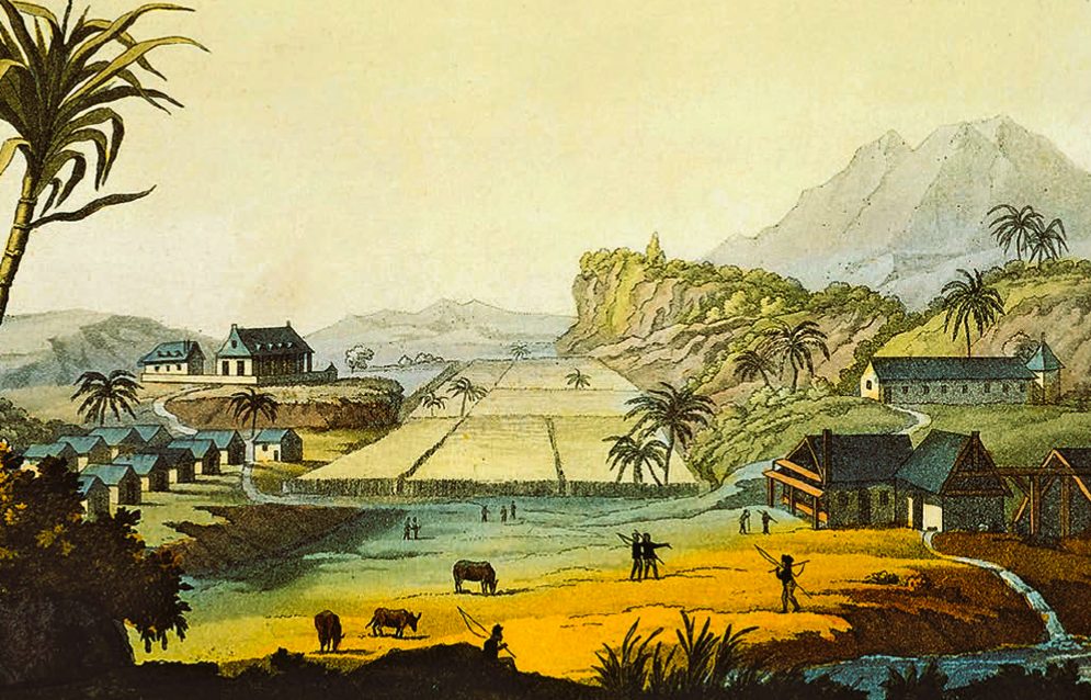 18th Sugar Plantation in the West Indies, by Paolo Fumagalli, 1830