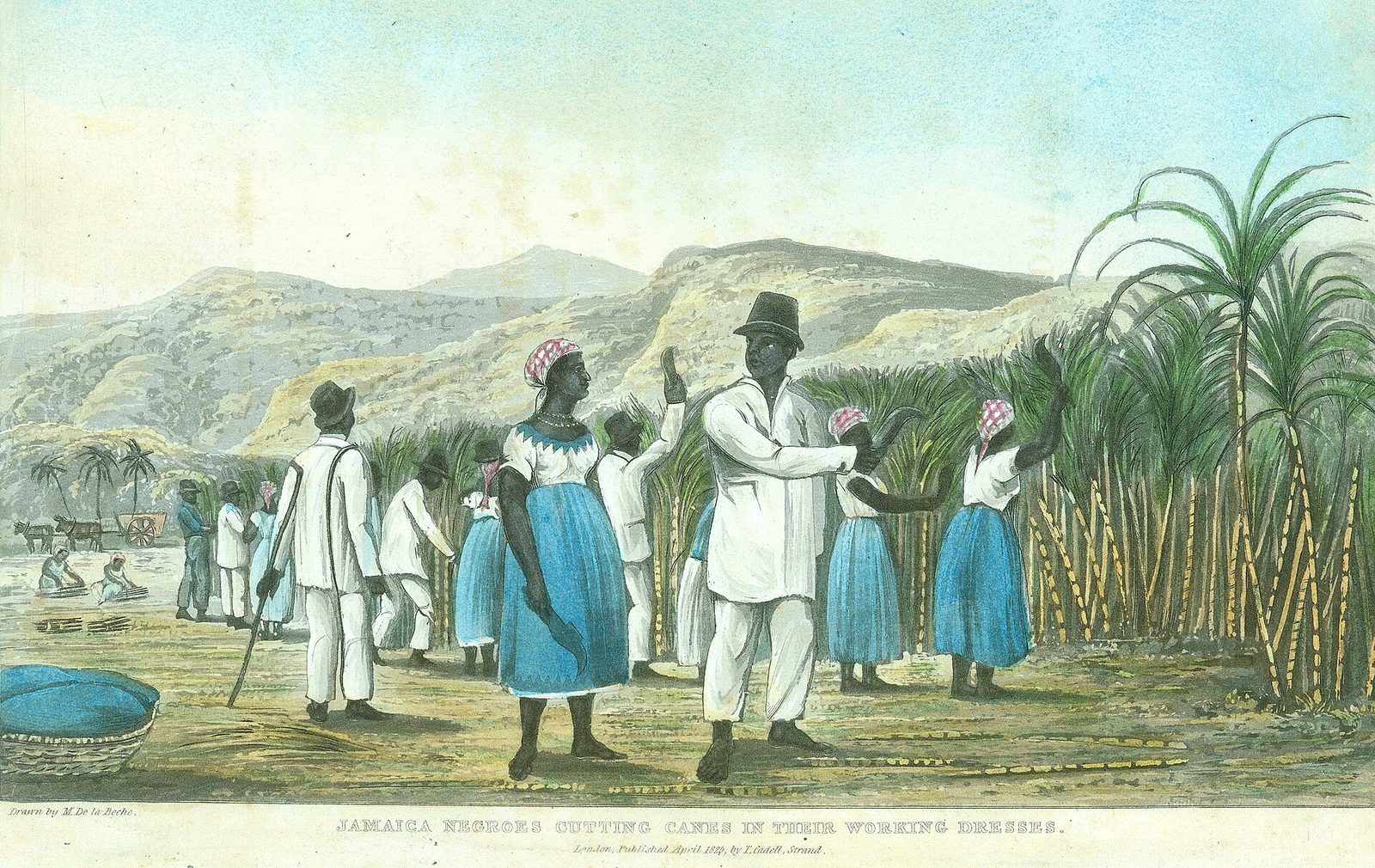 Jamaica Negroes Cutting Canes in their Working Dresses, 1825