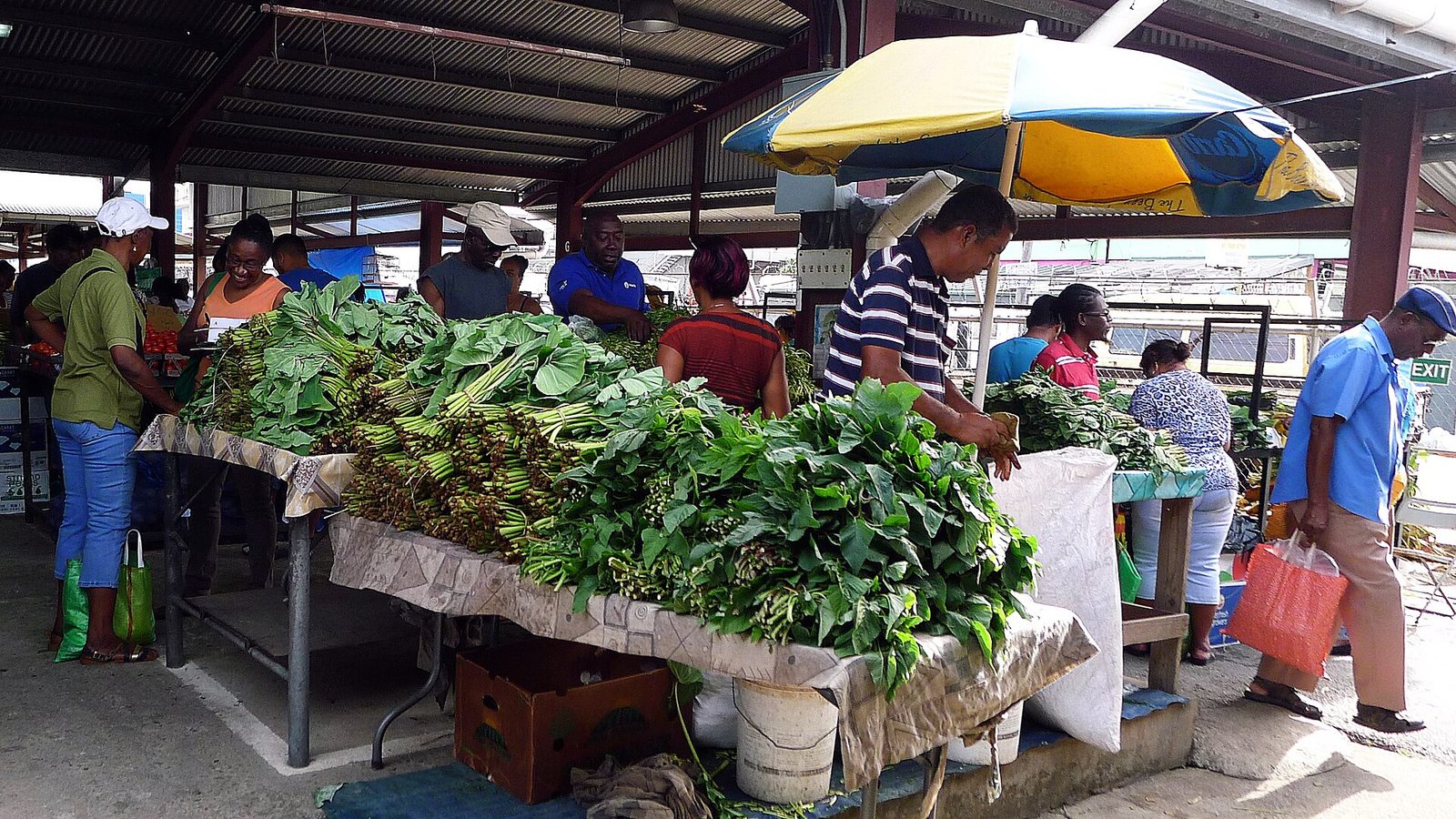 Callaloo - made from the raw material (dasheen bush)