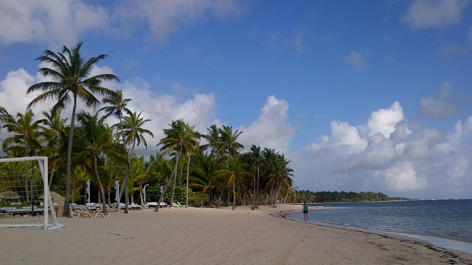 A palm-lined beach at Punta Cana in the Dominican Republic