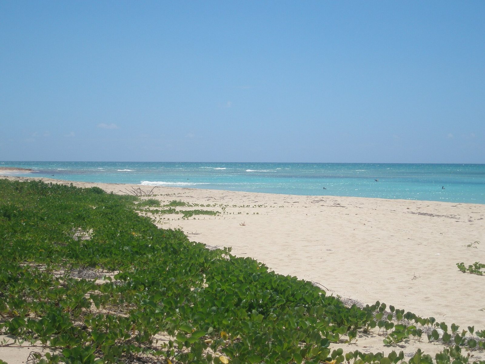 Sandy Point Wildlife Refuge beach 2